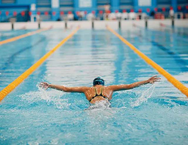 La piscine de natation